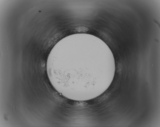 X0000103490321200809120956