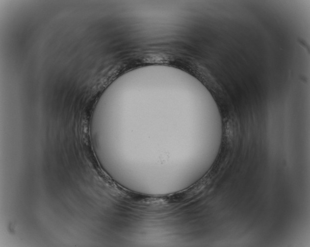 X0000103490322200809120956
