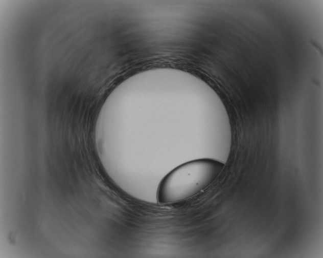 X0000103490324200809120956