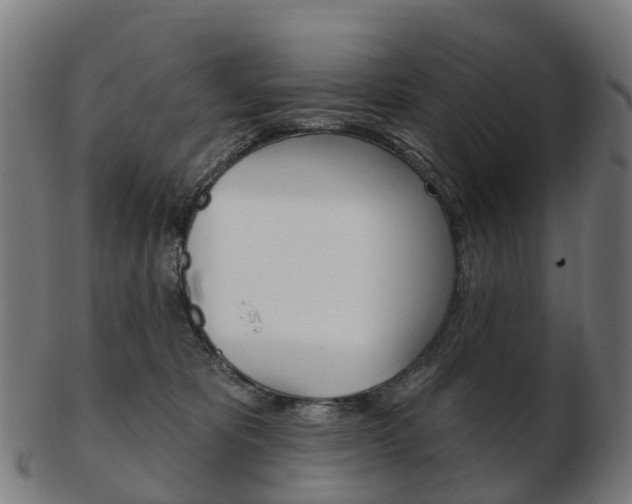 X0000103490325200809120956