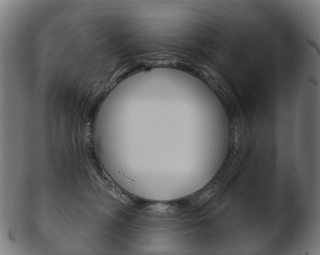 X0000103490326200809120955