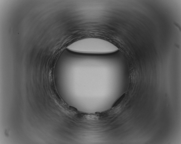 X0000103490327200809120955
