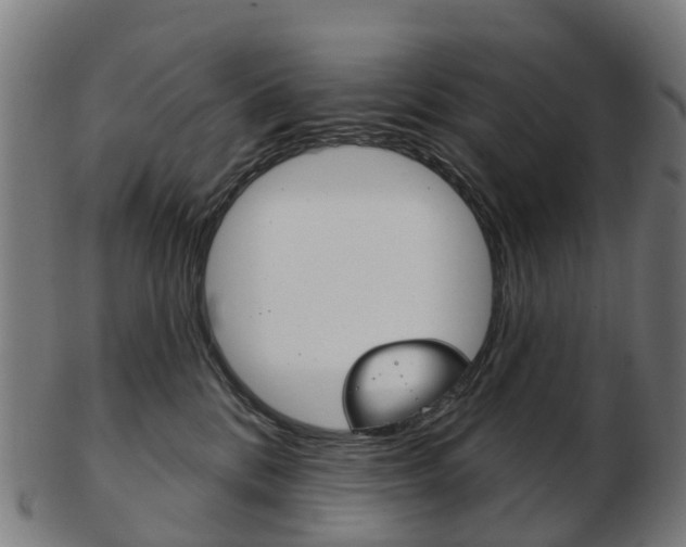 X0000103490328200809120955