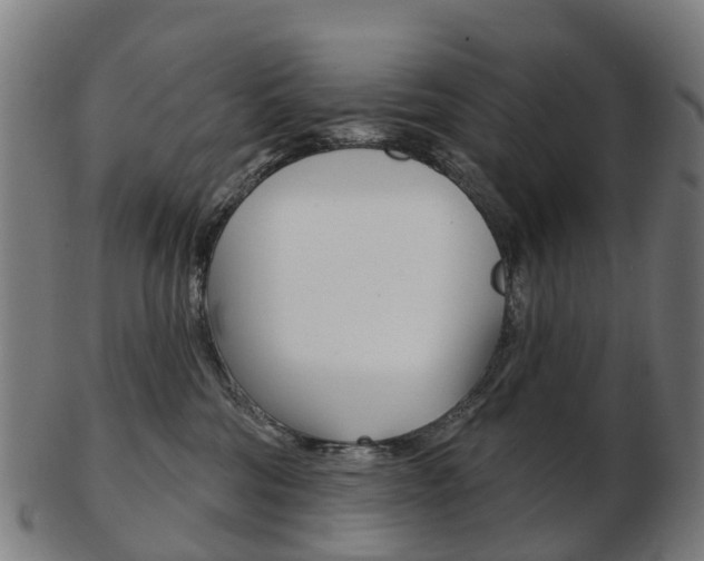 X0000103490330200809120955