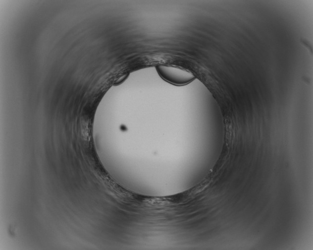 X0000103490331200809120955