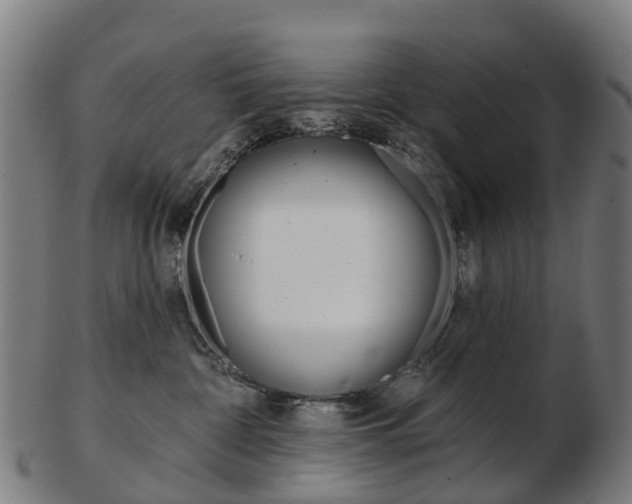 X0000103490332200809120955