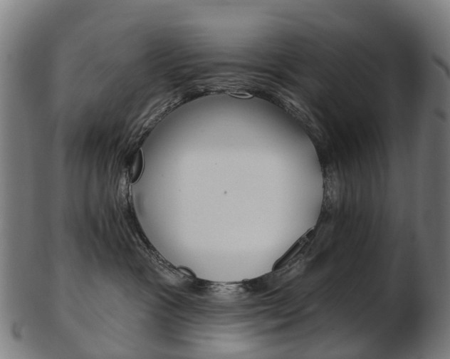 X0000103490333200809120955