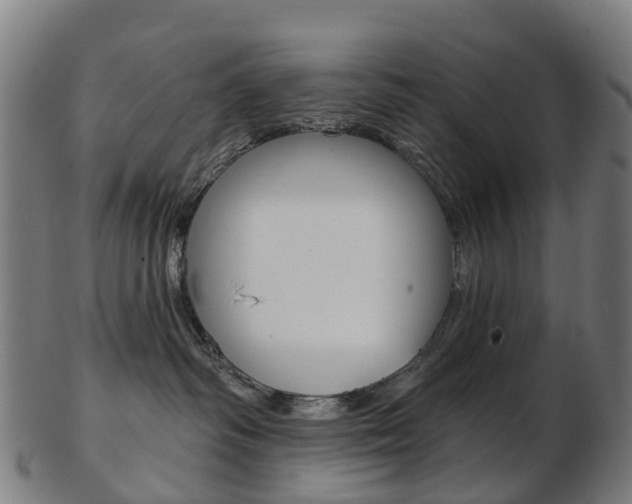 X0000103490334200809120955