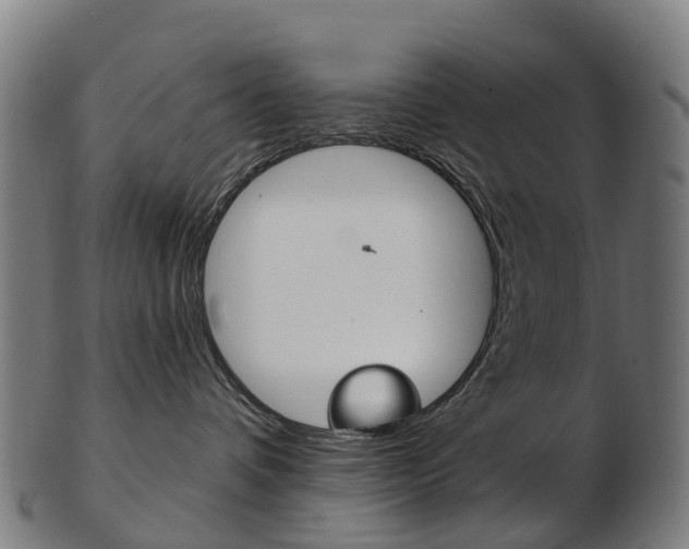 X0000103490336200809120955