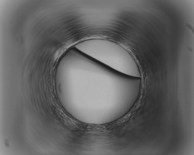 X0000103490337200809120955
