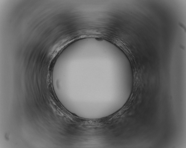 X0000103490338200809120955