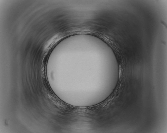 X0000103490339200809120955