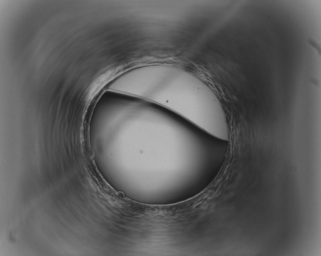 X0000103490340200809120955