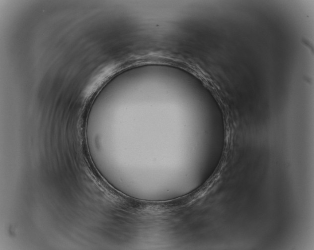 X0000103490341200809120955