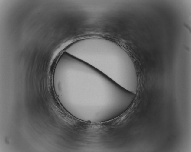 X0000103490342200809120955