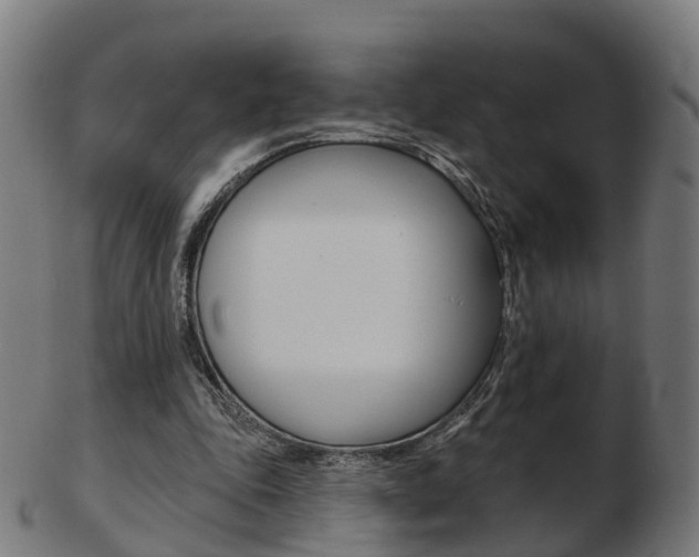 X0000103490343200809120955