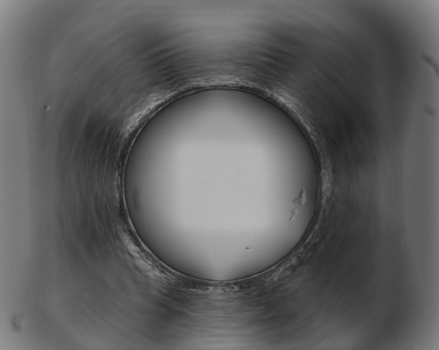 X0000103490345200809120955