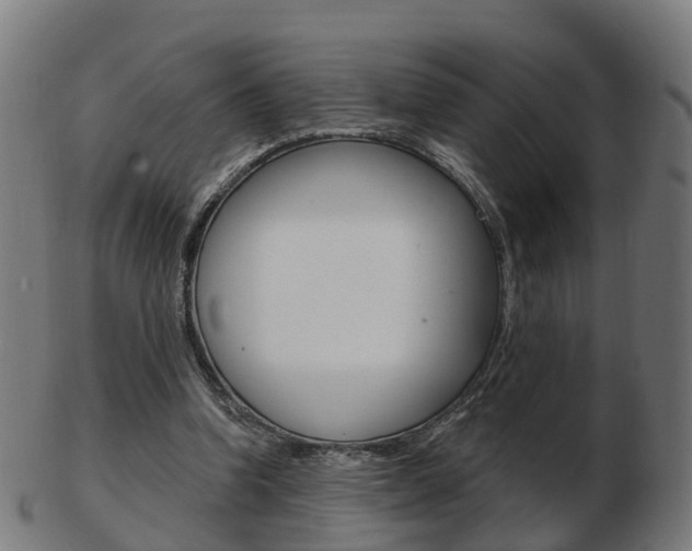 X0000103490346200809120955