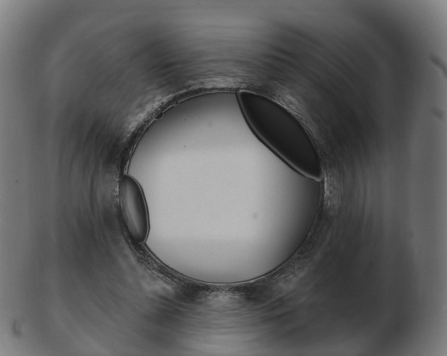 X0000103490348200809120955