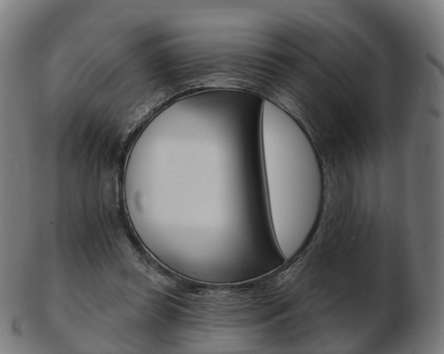 X0000103490349200809120955