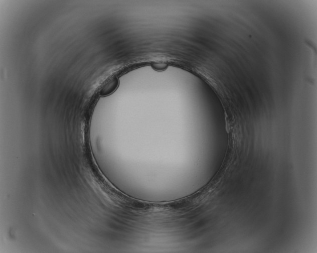 X0000103490350200809120955