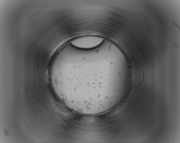X0000103490351200809120955