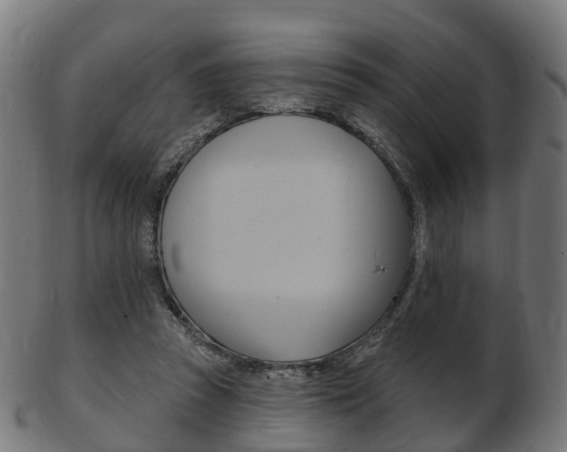 X0000103490353200809120955