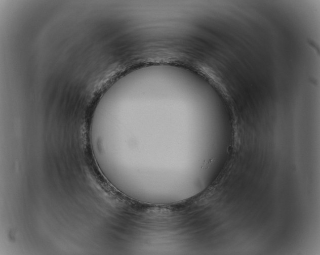 X0000103490354200809120955