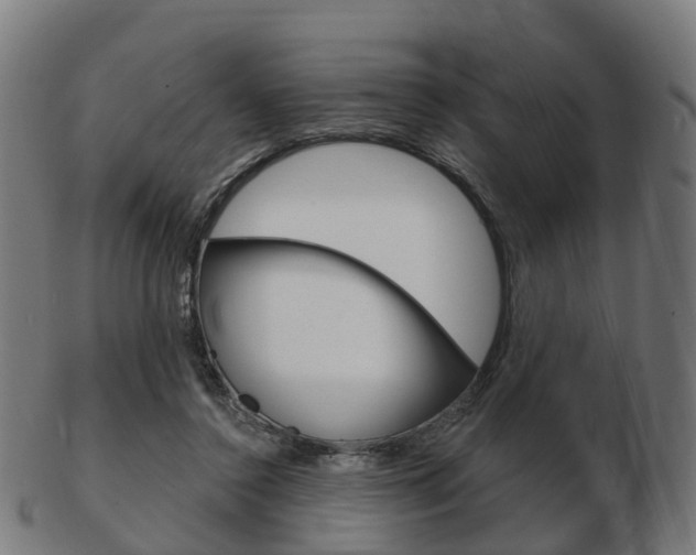 X0000103490356200809120955
