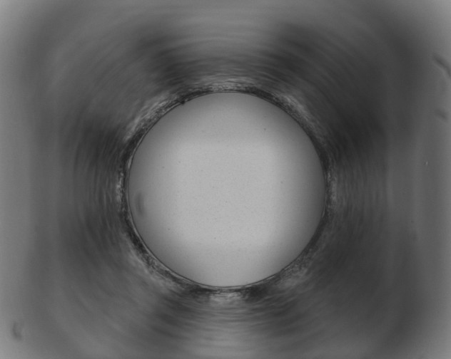 X0000103490357200809120955