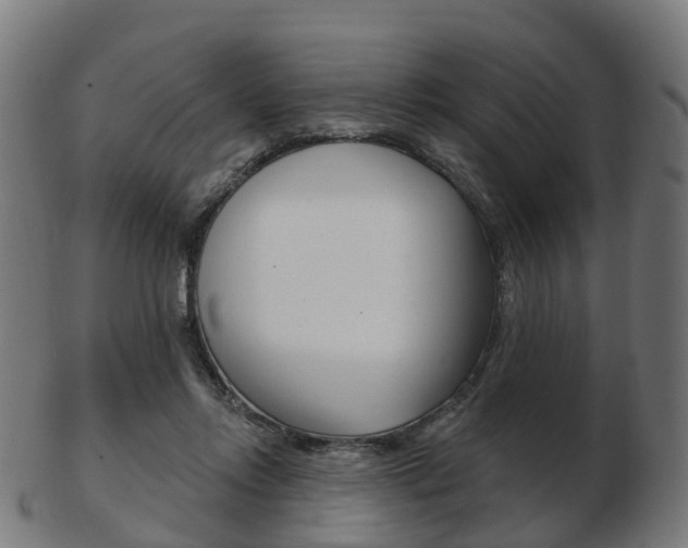 X0000103490358200809120955