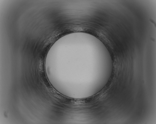 X0000103490359200809120955