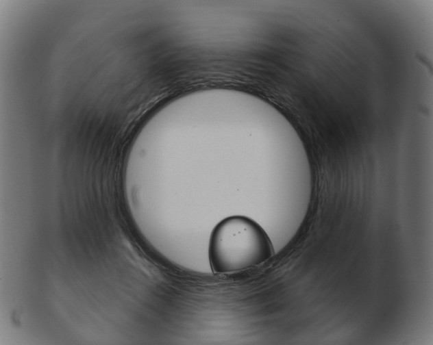 X0000103490360200809120955