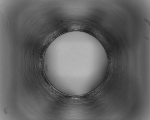 X0000103490361200809120955