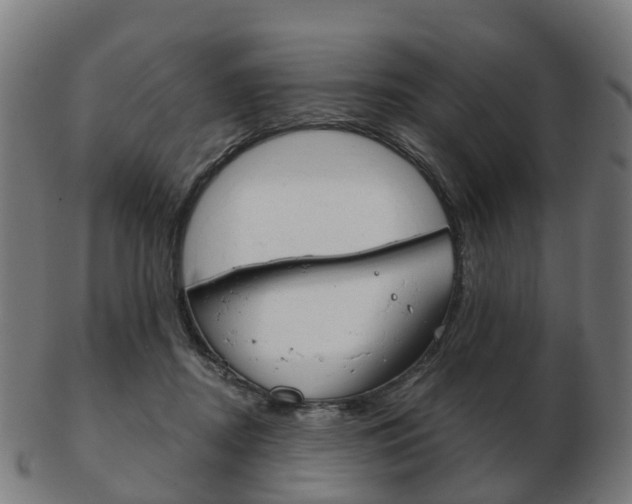 X0000103490362200809120955