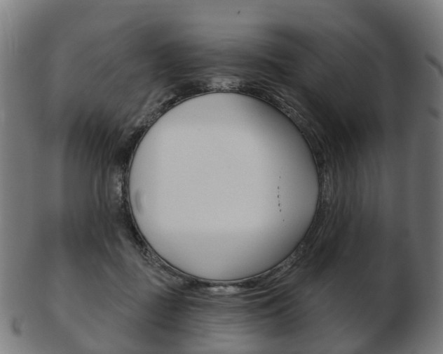 X0000103490363200809120955