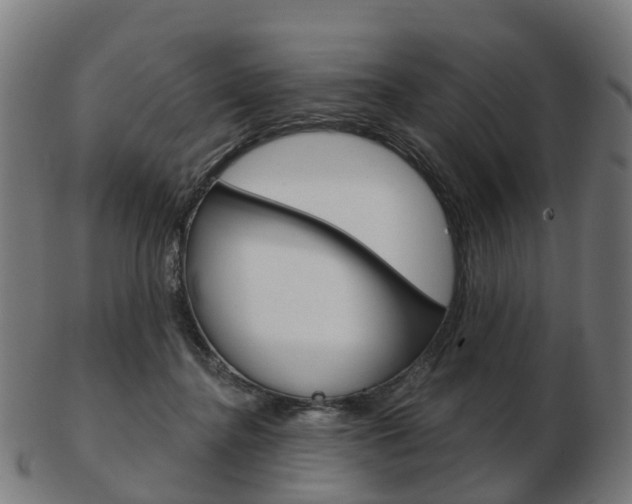 X0000103490364200809120955