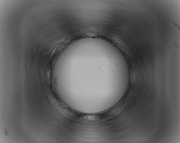 X0000103490365200809120955