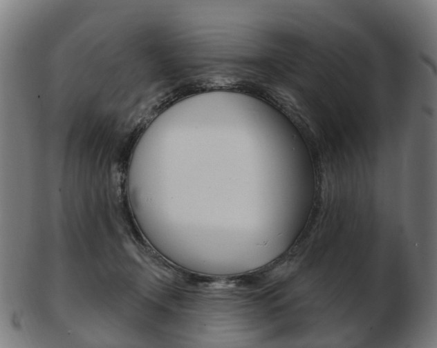 X0000103490366200809120955