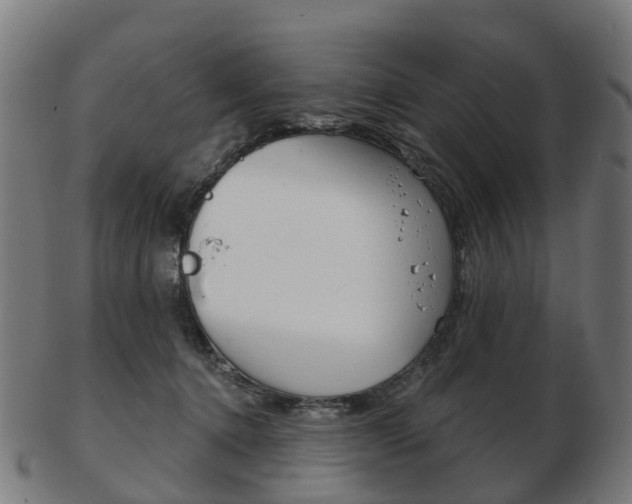 X0000103490368200809120955