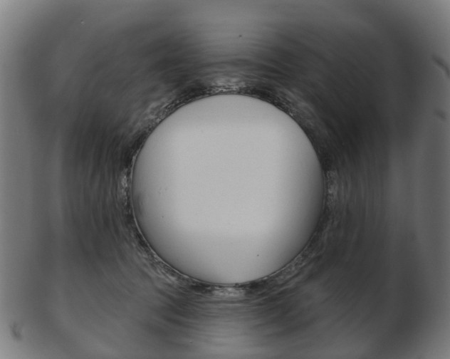 X0000103490369200809120955