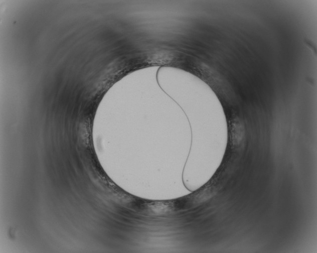 X0000103490370200809120955