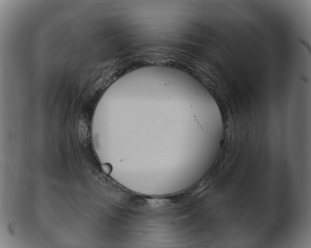 X0000103490371200809120955