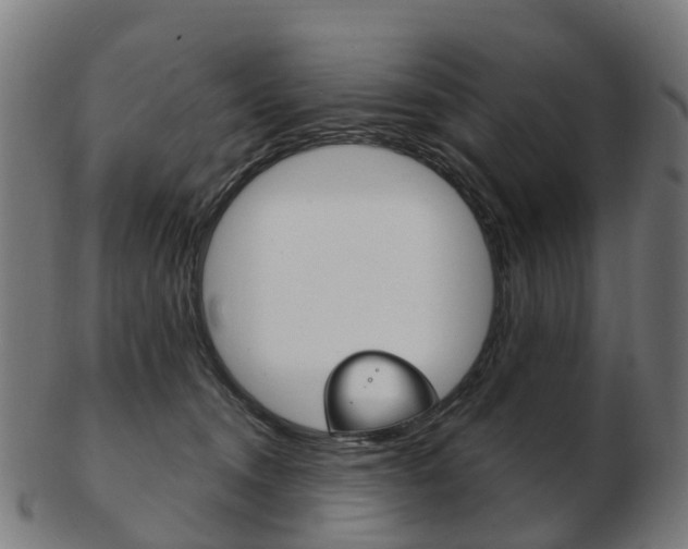 X0000103490372200809120955