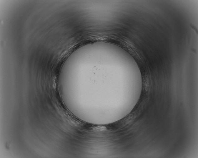 X0000103490374200809120955