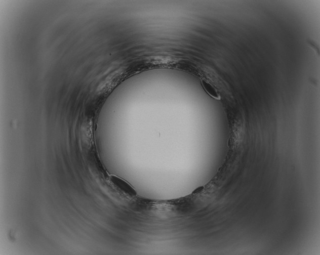 X0000103490376200809120955
