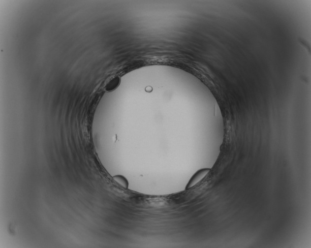 X0000103490377200809120955