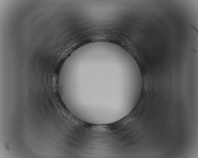 X0000103490378200809120955