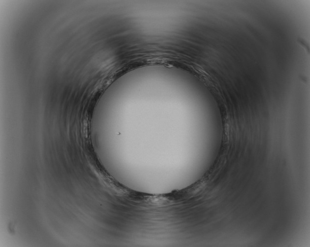 X0000103490379200809120955