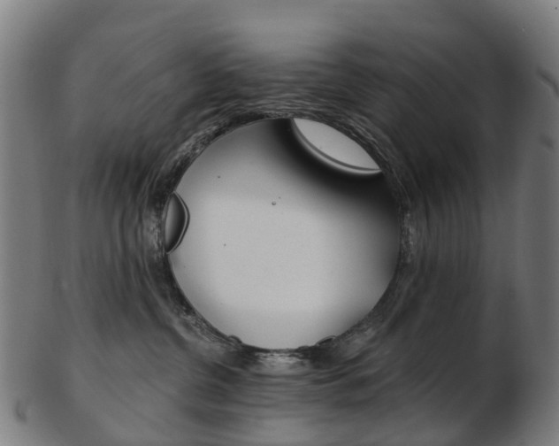 X0000103490380200809120955